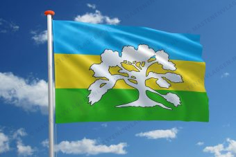 Streekvlag De Broekstreek