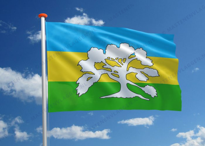 Streekvlag De Broekstreek