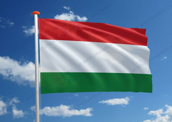 Handelsvlag Tadzjikistan
