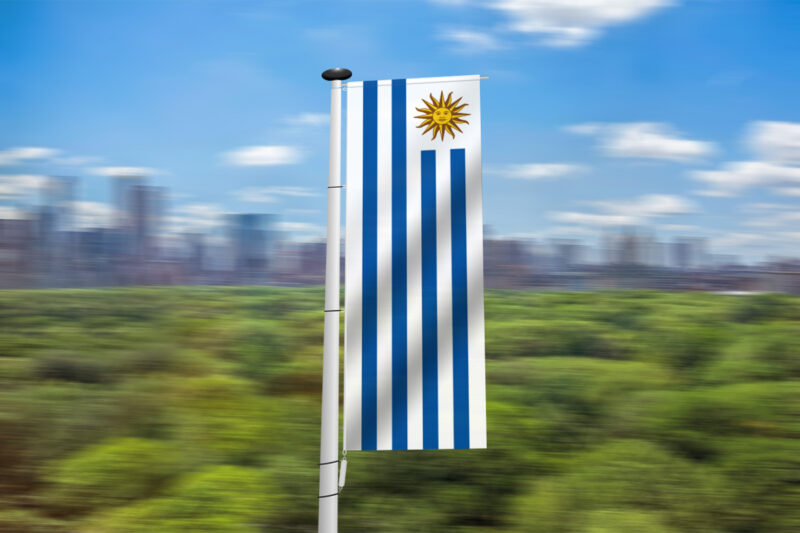 Uruguayaanse banier