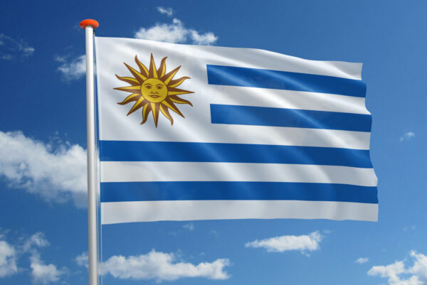 Uruguayaanse vlag