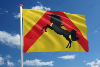 Dorpsvlag Bakkum