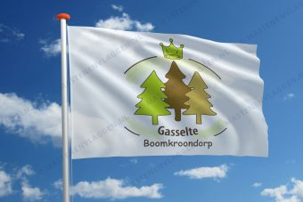 Vlag Gasselte