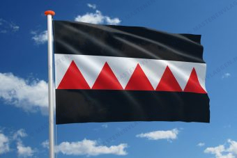 Dorpsvlag Brigdamme