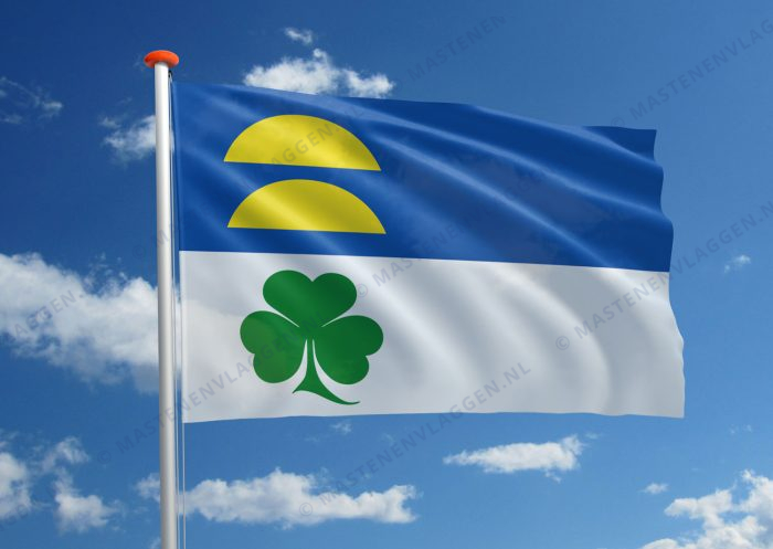 Dorpsvlag De Pollen