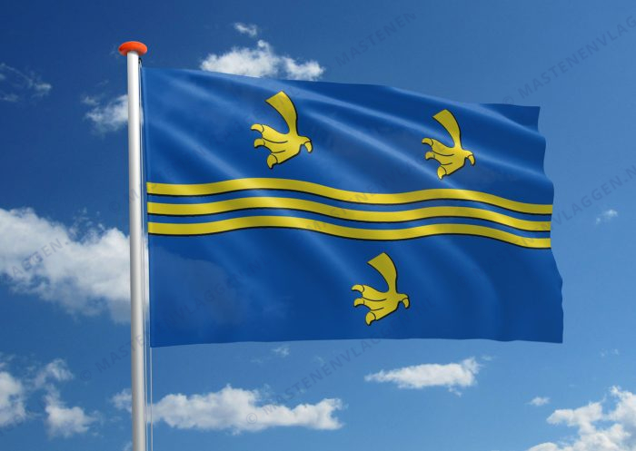Dirksland vlag
