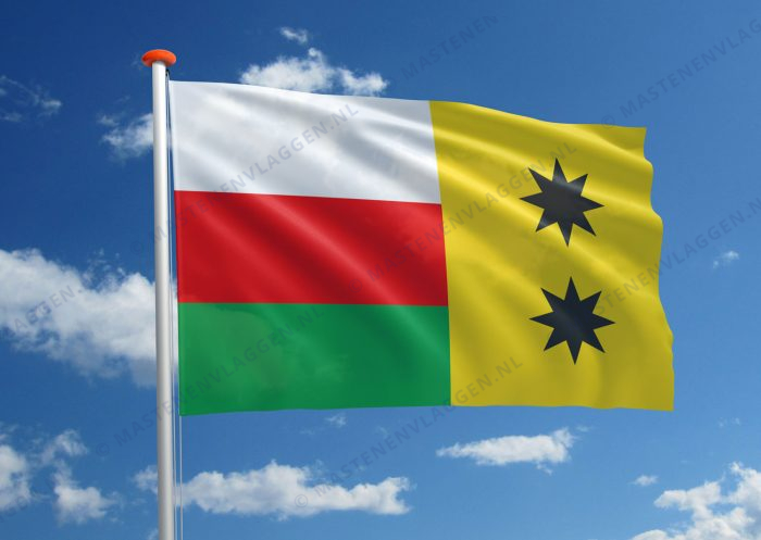 Dorpsvlag Ezinge