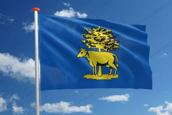Dorpsvlag Graft