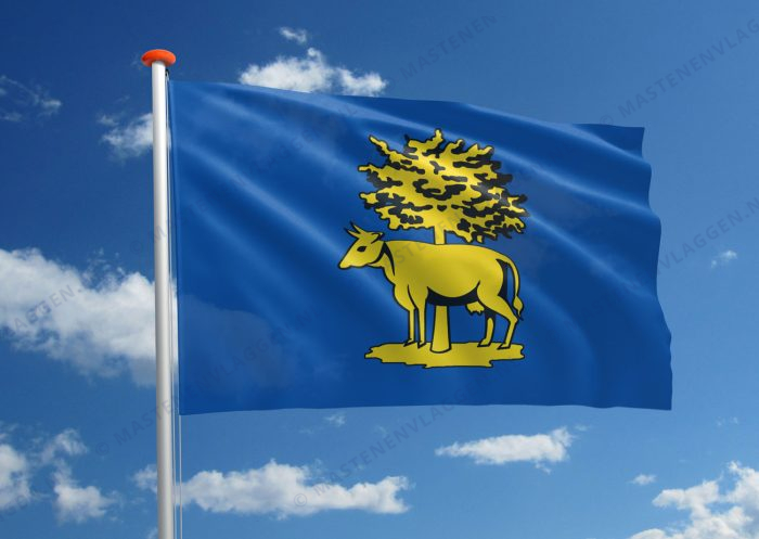 Dorpsvlag Graft