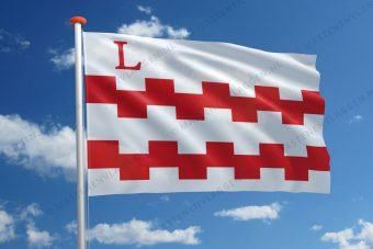 Dorpsvlag Leerbroek