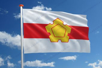 Dorpsvlag Lonneker
