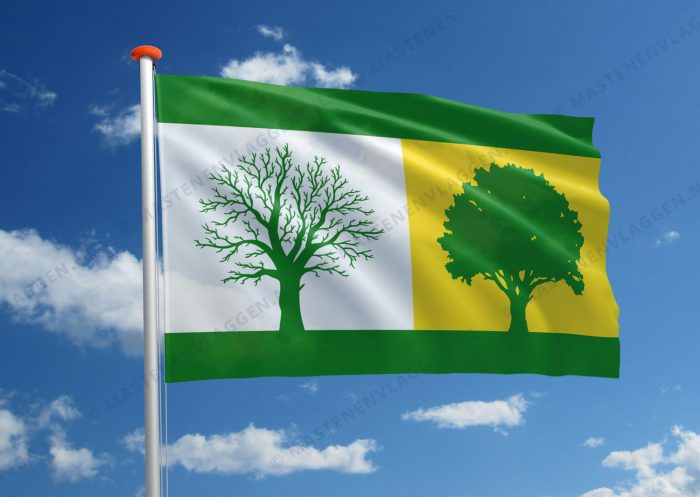Dorpsvlag Luinjeberd
