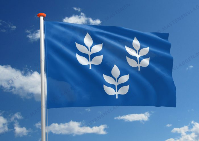 Dorpsvlag Rijsoord