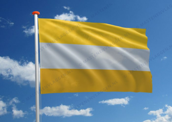 Disability vlag