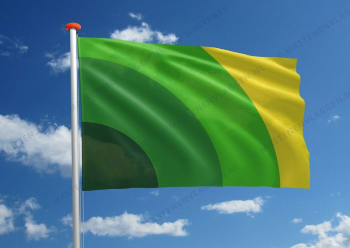 Geestelijke gezondheid vlag