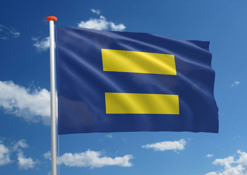 Equality vlag