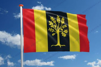 Vlag Waalwijk