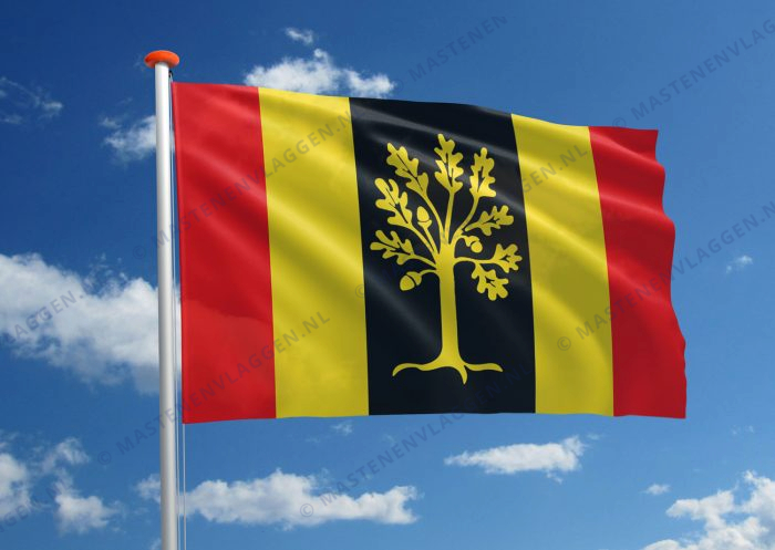 Vlag Waalwijk