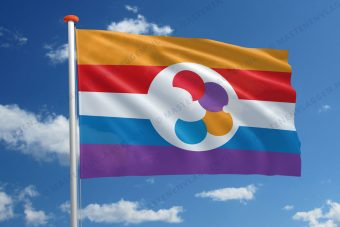 Handicap vlag