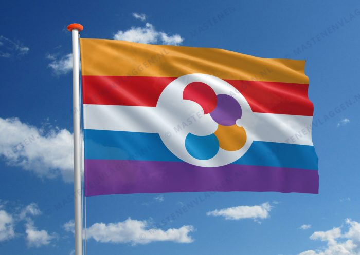 Handicap vlag