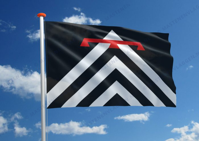 Dorpsvlag Schore