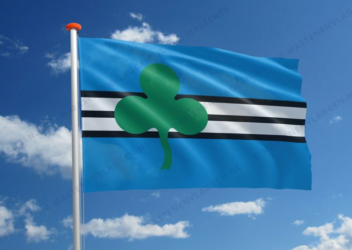 Dorpsvlag Wijdewormer (variant)