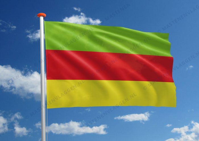 Boro vlag