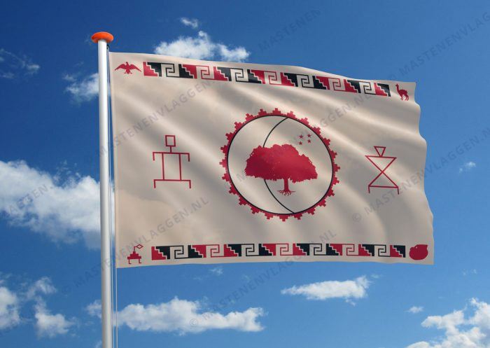 Diaguita vlag