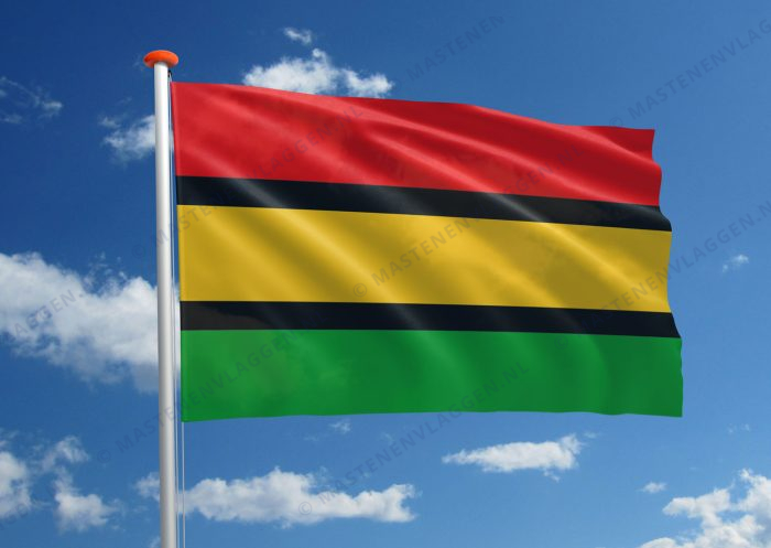 Dinka vlag