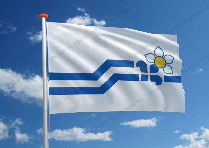 Franco-Colombianen vlag