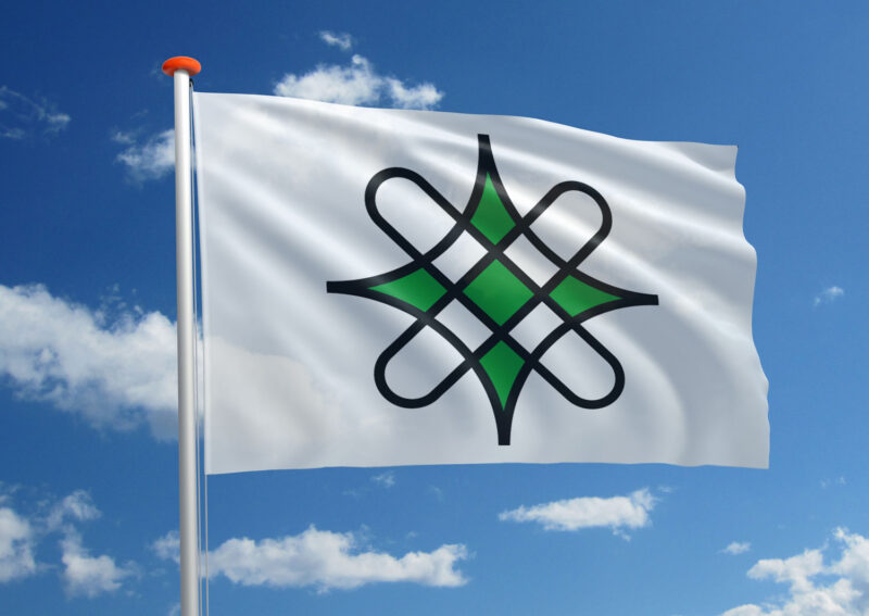 Hausa vlag