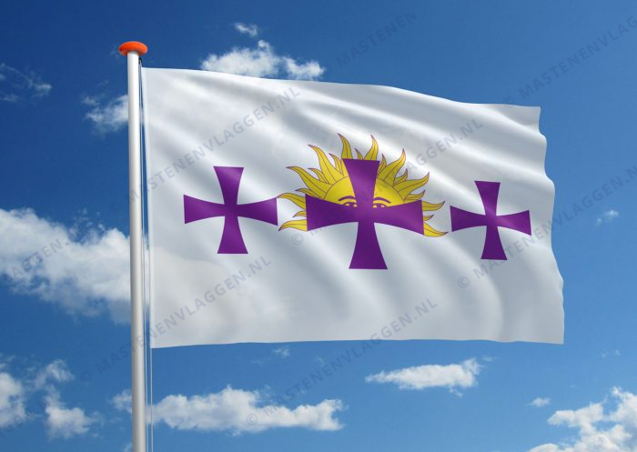 Hispanic vlag