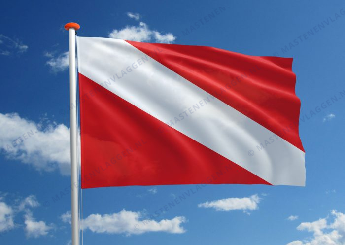 Lozi vlag