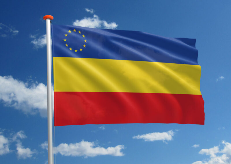 Servische Roemenen vlag