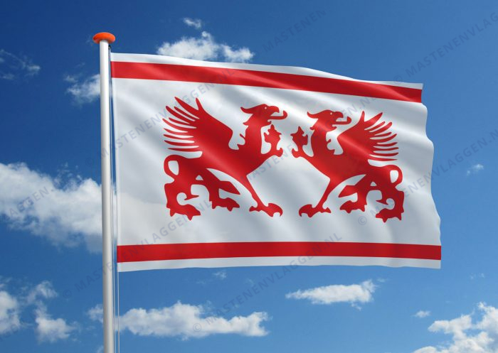 Stellingwervers vlag