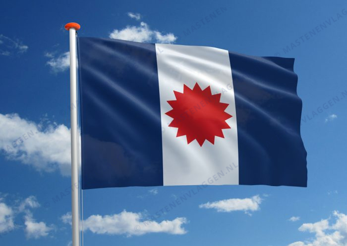 Tai Dam vlag