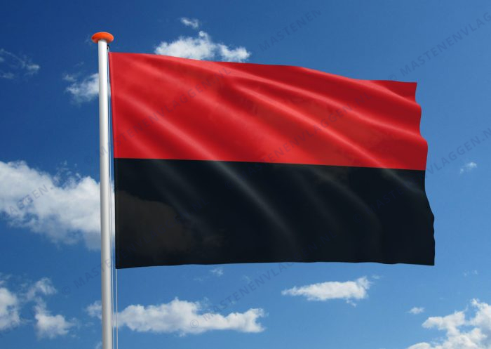 Tamils vlag