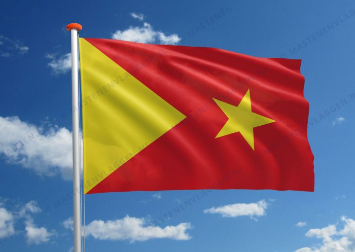 Tigrinya vlag