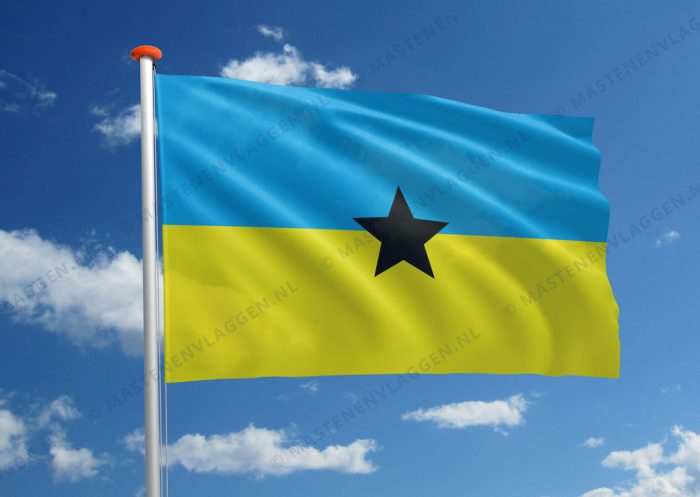 Toeboe vlag