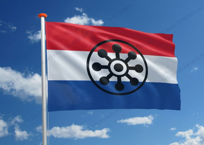 Guarani vlag