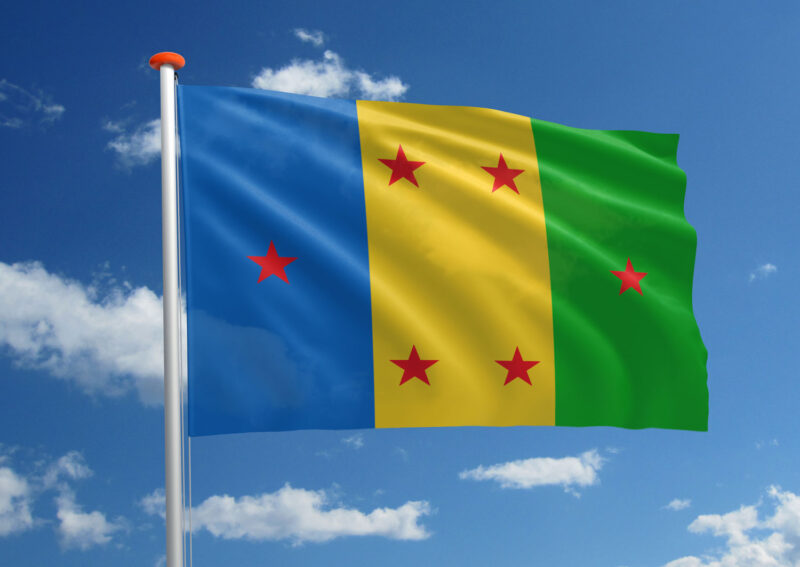 Ogoni vlag