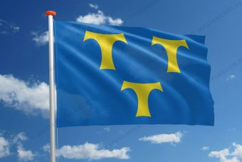 Vlag Lede
