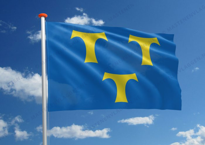 Vlag Lede