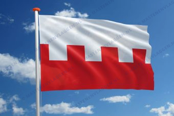 Vlag Rhenen