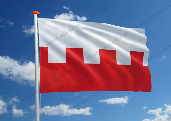 Vlag Rhenen