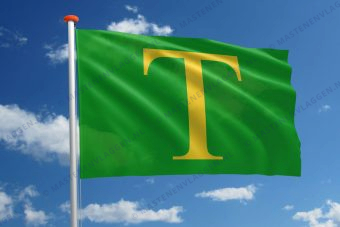 Vlag Sint-Anthonis