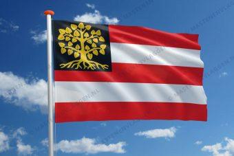 Vlag 's-Hertogenbosch (Den Bosch)