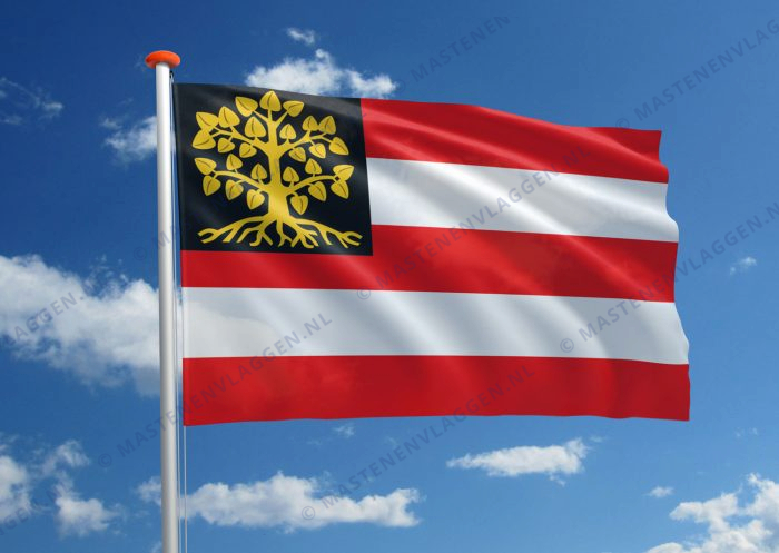 Vlag 's-Hertogenbosch (Den Bosch)