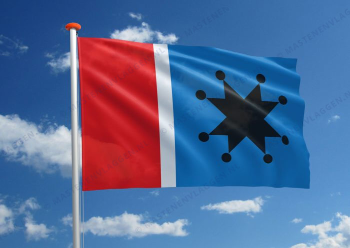 Amis vlag