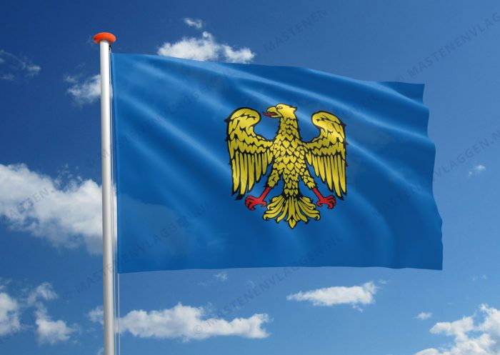 Friulianen vlag